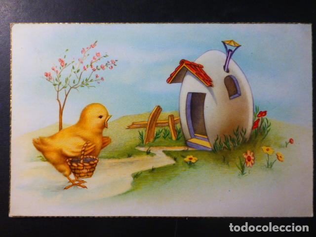 Postales: POLLITO POSTAL SIN ILUSTRADOR - Foto 1