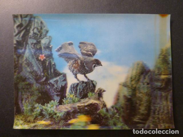 Postales: RAPAZ POSTAL 3 DIMENSIONES - Foto 1