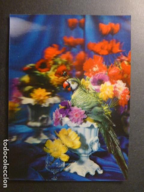 Postales: LORO POSTAL 3 DIMENSIONES - Foto 1