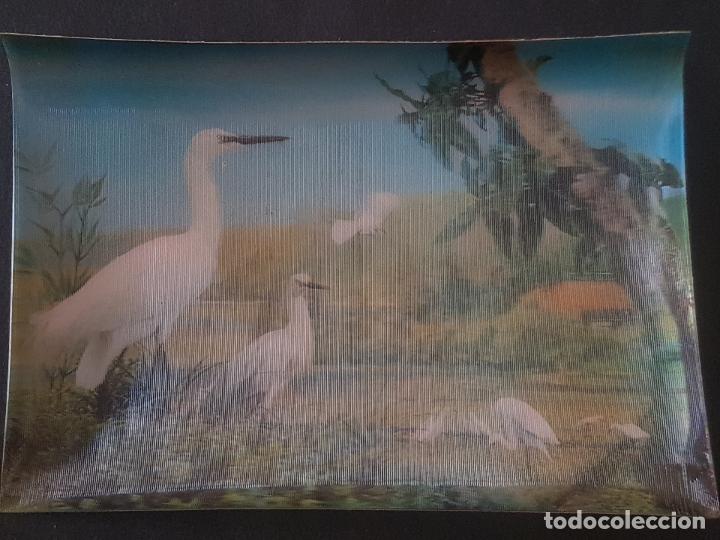 Postales: GARZAS POSTAL EN TRES DIMENSIONES 3D - Foto 1