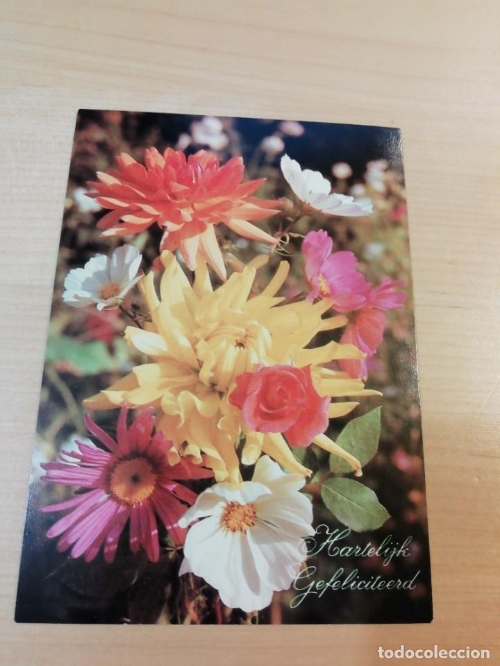 Postales: Postal Hartelijk Gefeliciteerd Felicidades Flores Verona (Pa&iacute;ses Bajos)