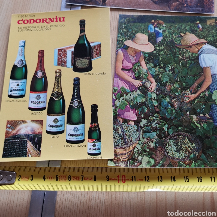 Postales: Lote de 8 Postales bodegas de Cava Codorniu de 1973. - Foto 2