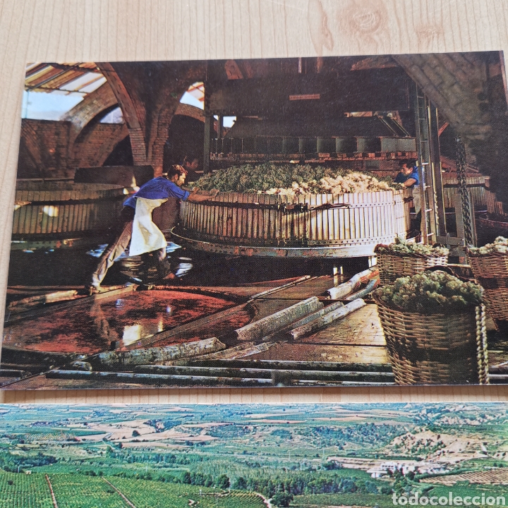 Postales: Lote de 8 Postales bodegas de Cava Codorniu de 1973. - Foto 6