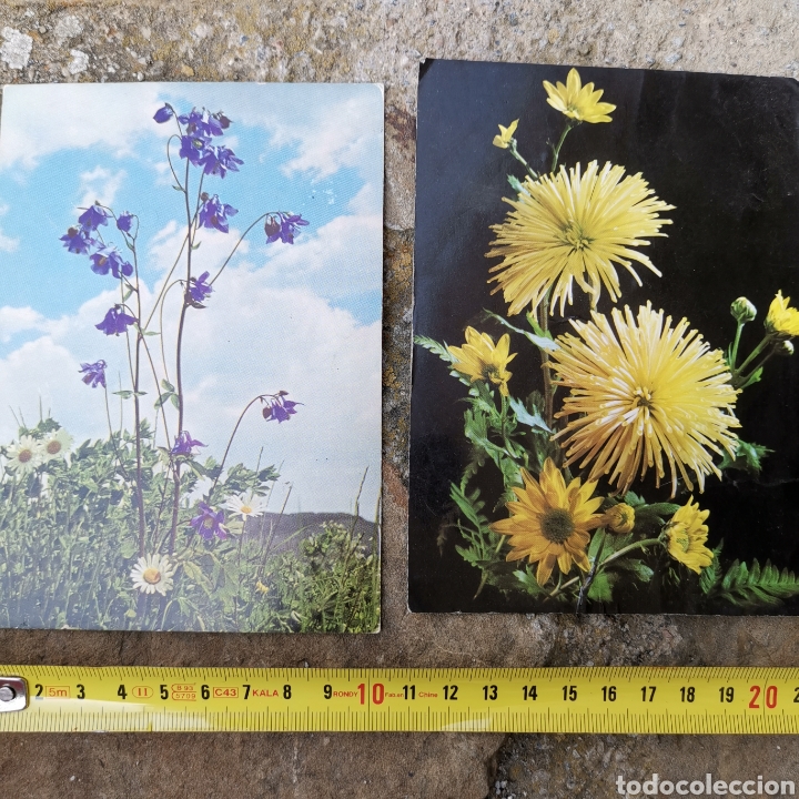 Postales: 2 postales De flores una de 1975. - Foto 4