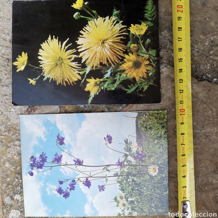 Postales: 2 postales De flores una de 1975. - Foto 1