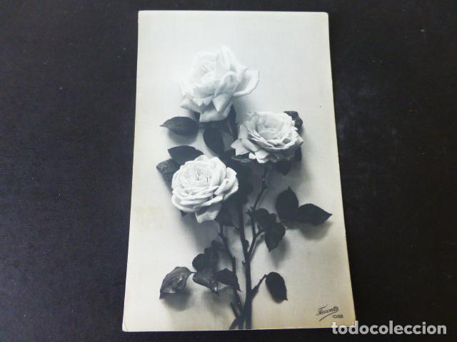 Postales: FLORES POSTAL - Foto 1