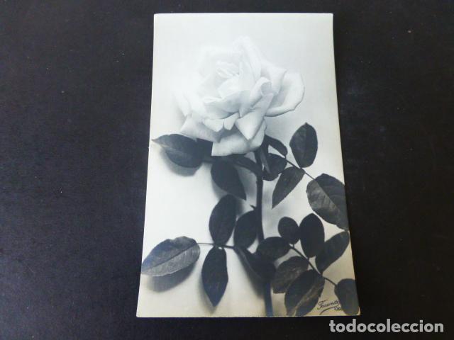 Postales: FLORES POSTAL - Foto 1