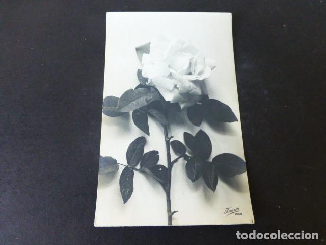 Postales: FLORES POSTAL - Foto 1