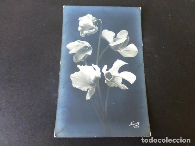 Postales: FLORES POSTAL - Foto 1