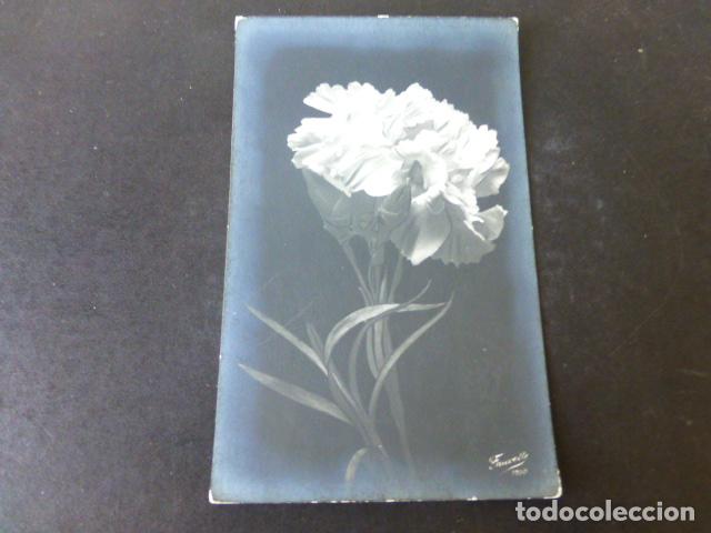 Postales: FLORES POSTAL - Foto 1