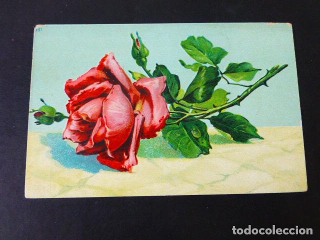 Postales: FLORES POSTAL - Foto 1