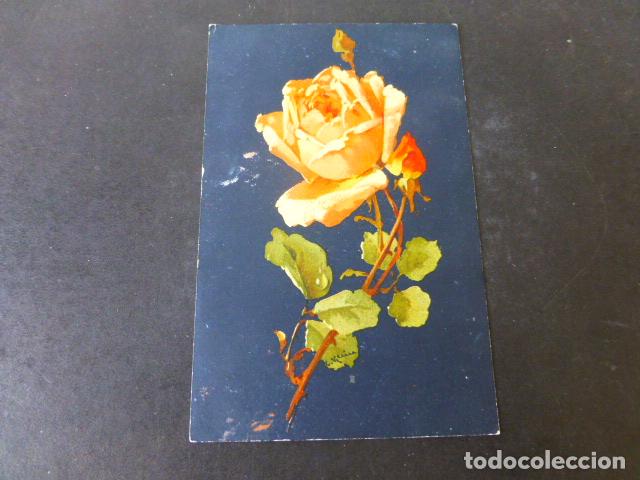 Postales: FLORES POSTAL - Foto 1