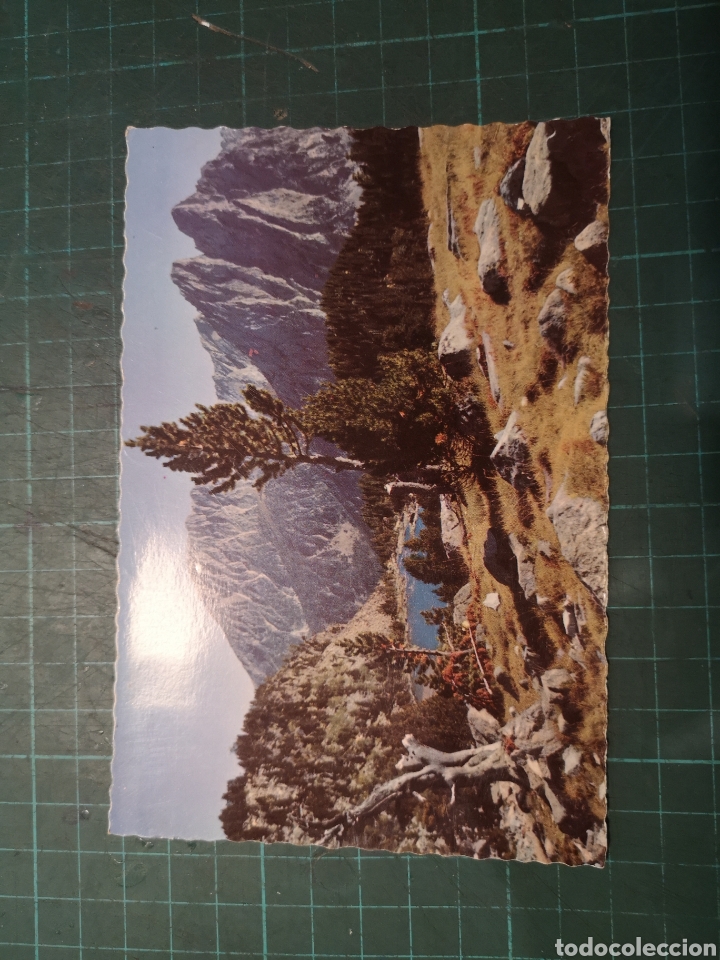 Postales: Lote Postales Monta&ntilde;as - Foto 8