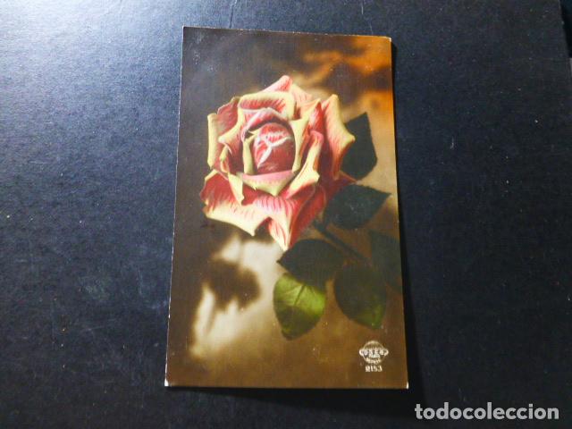 Postales: ROSA POSTAL - Foto 1