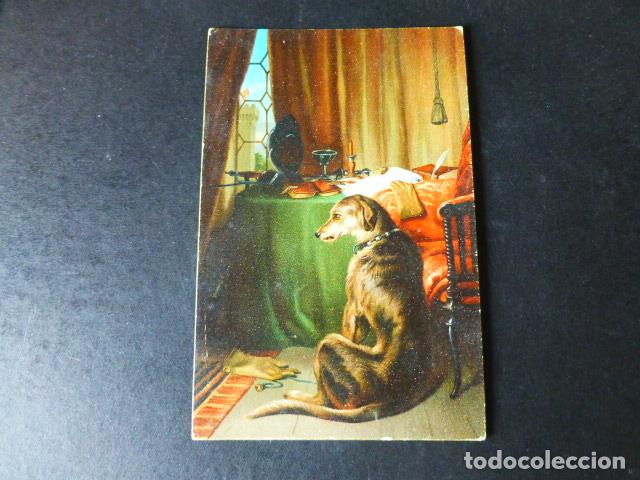 Postales: PERRO POSTAL CROMOLITOGRAFICA - Foto 1