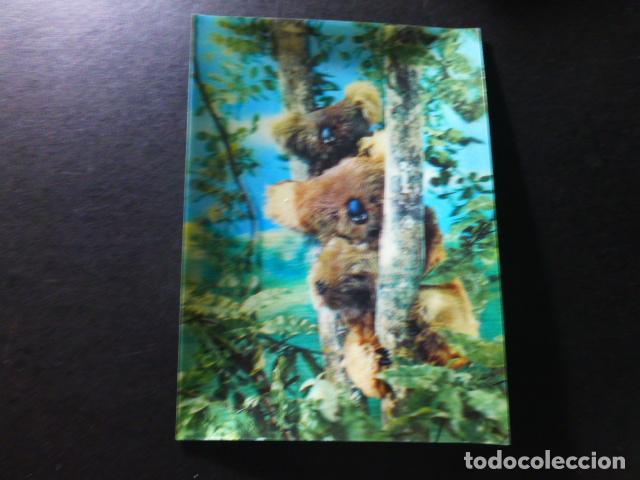 Postales: KOALA POSTAL EN 3 DIMENSIONES 3D - Foto 1