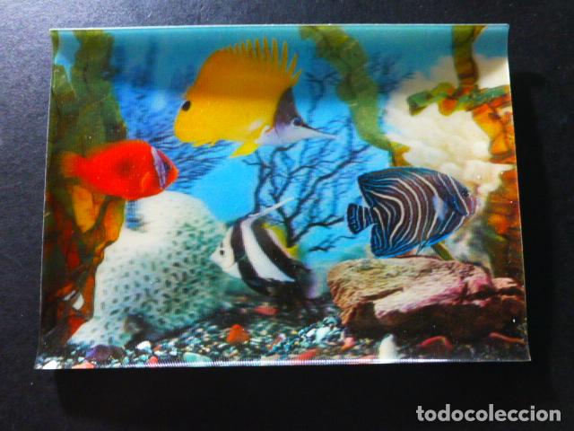 Postales: PECES POSTAL EN 3 DIMENSIONES 3D - Foto 1
