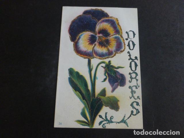 Postcards: FLORES EN RELIEVE POSTAL