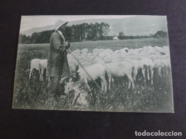 Postales: ESCENA RURAL POSTAL - Foto 1