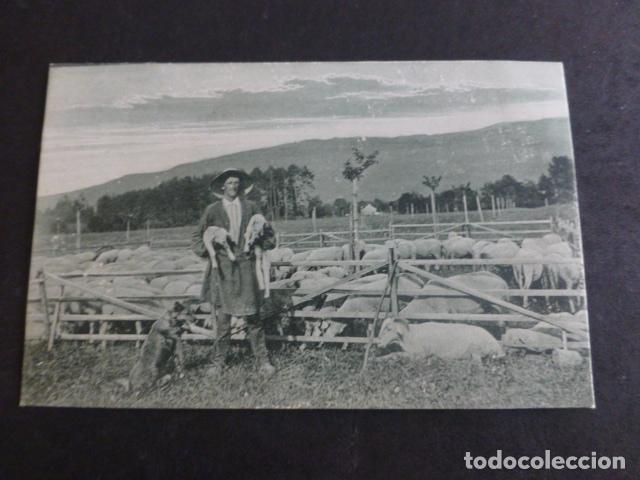 Postales: ESCENA RURAL POSTAL - Foto 1