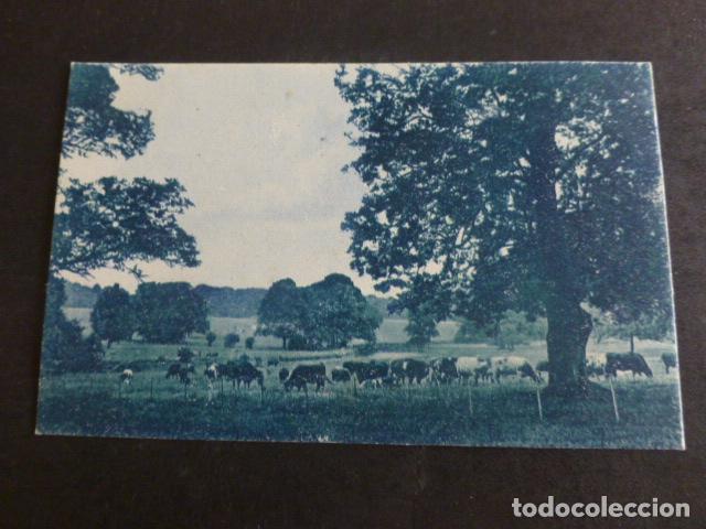 Postales: PAISAJE POSTAL - Foto 1