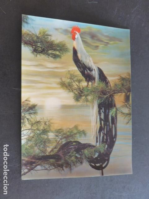 Postales: GALLO DE COLA LARGA POSTAL 3D TRIDIMENSIONAL - Foto 1