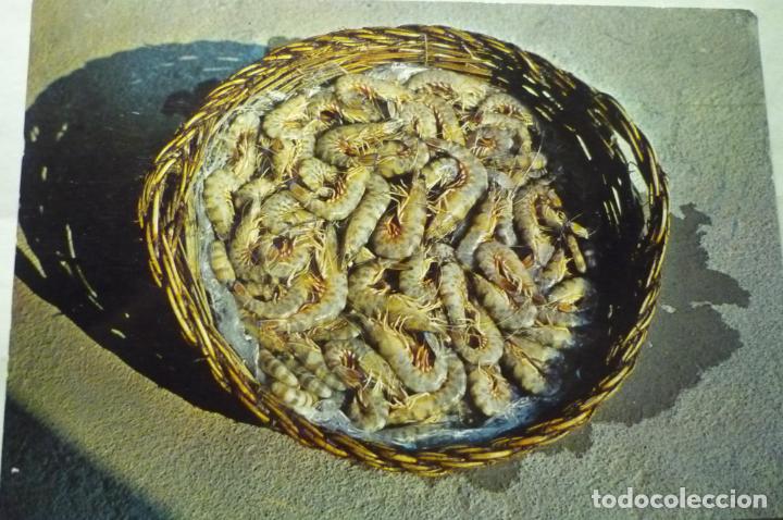 Cartoline: POSTAL CESTA TIPICA LANGOSTINOS S.CARLOS-ALCANAR-VINAROZ-BENICARLO.-PE&Ntilde;ISCOLA CM