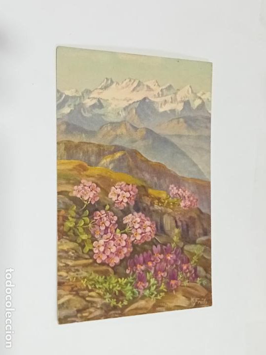 Postkarten: TARJETA POSTAL. PAISAJE CAMPESTRE DE MONTA&Ntilde;AS NEVADAS, VERDE Y FLORES LILAS
