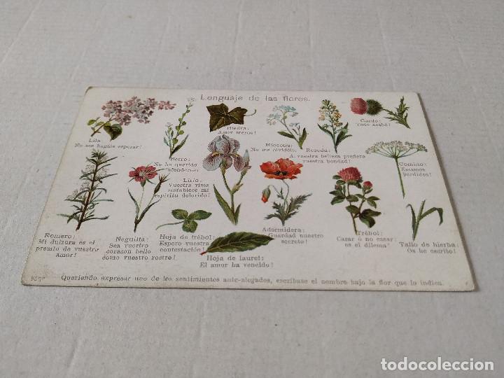 Postales: POSTAL LENGUAJE DE LAS FLORES - Foto 1