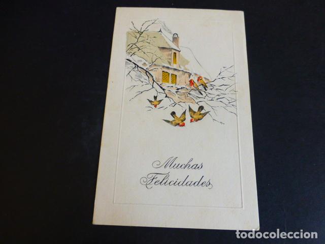 Postales: PAJAROS EN INVIERNO POSTAL - Foto 1