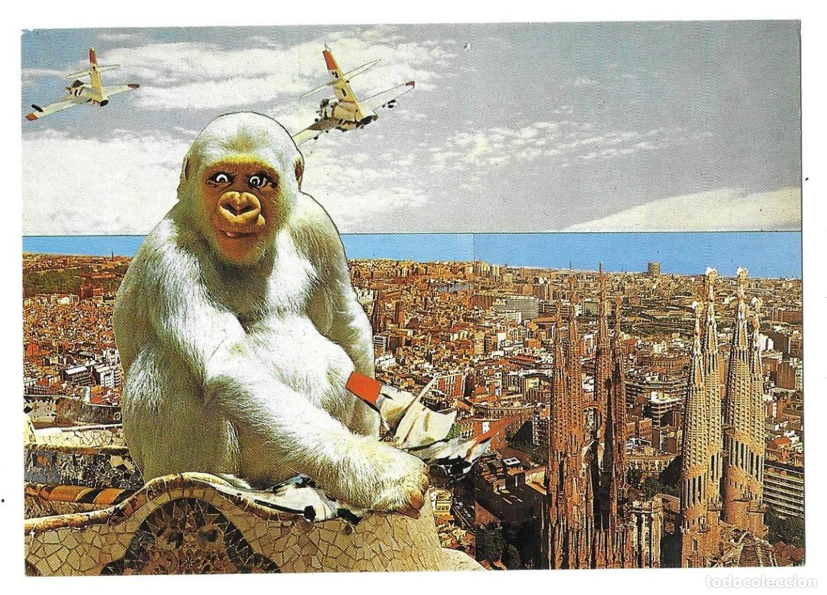 Postales: Postal &rdquo;El Mono Blanco&rdquo; de Carmelo Hernando Star ediciones - Foto 1