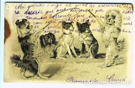Postales: Perros en el circo.- Postal en relieve - Foto 1