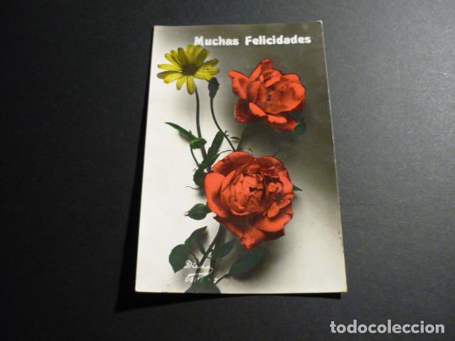 Postales: ROSAS POSTAL - Foto 1