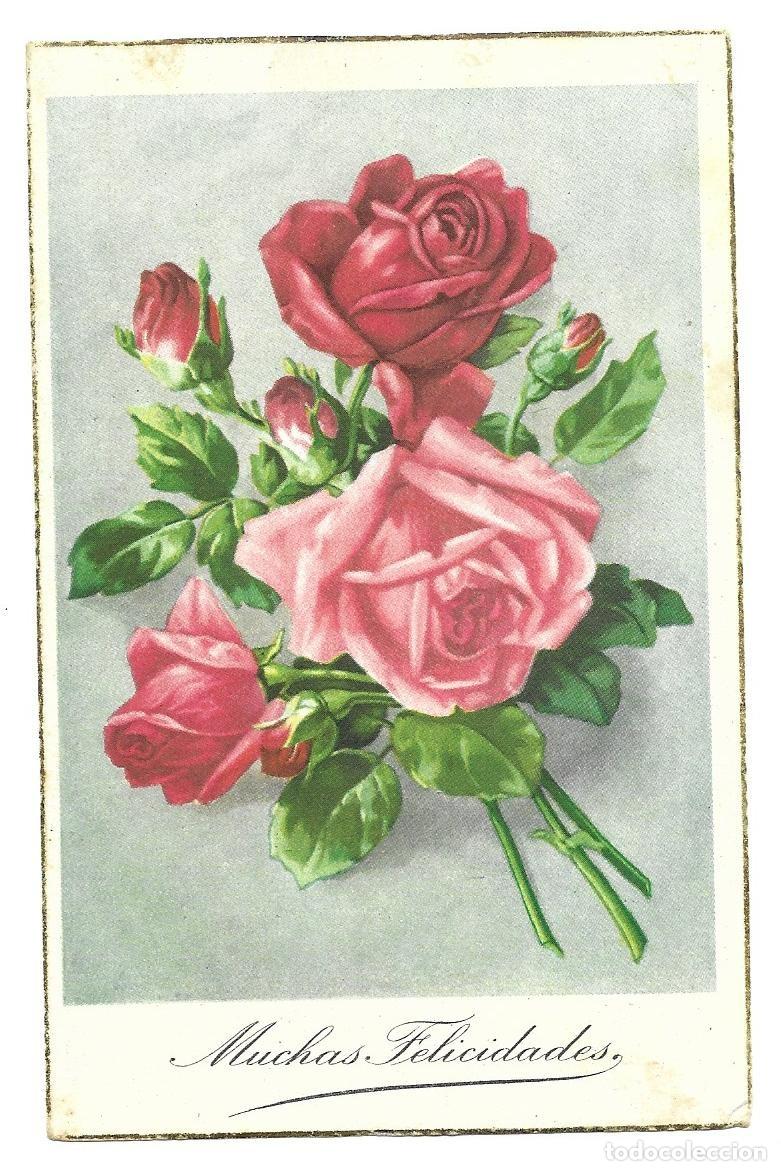 Postales: Postal tem&agrave;tica de flors. Felicitaci&oacute; datada a 1911 - Foto 1