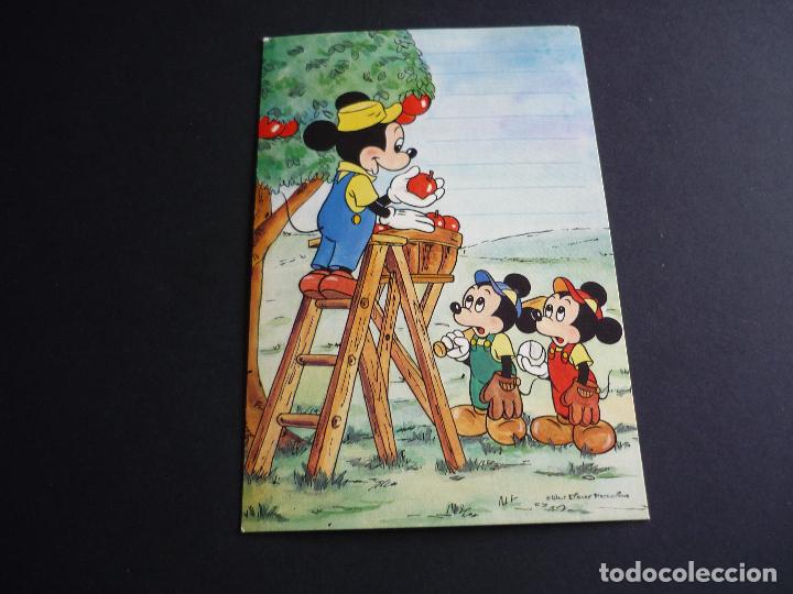 Postales: MICKEY MOUSE WALT DISNEY POSTAL - Foto 1
