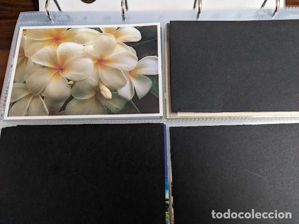 Postales: POSTAL Plumarias - Foto 1