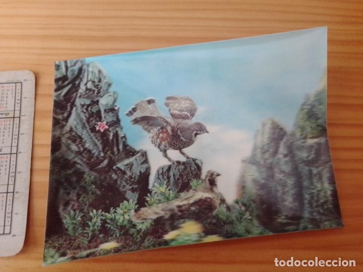 Postales: Postal en 3 dimensiones - Foto 1