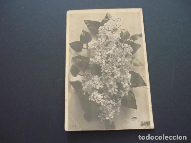 Postales: RAMO DE FLORES POSTAL - Foto 1