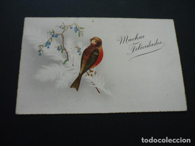 Postales: PAJARO POSTAL - Foto 1