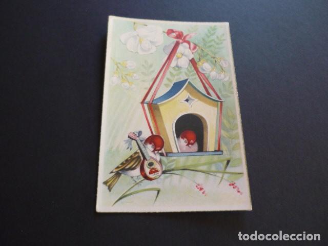 Postales: PAJAROS POSTAL - Foto 1