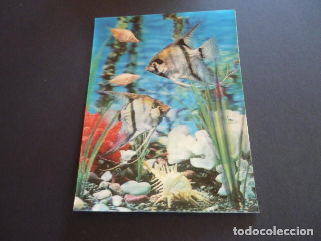 Postales: PECES POSTAL 3D TRES DIMENSIONES - Foto 1