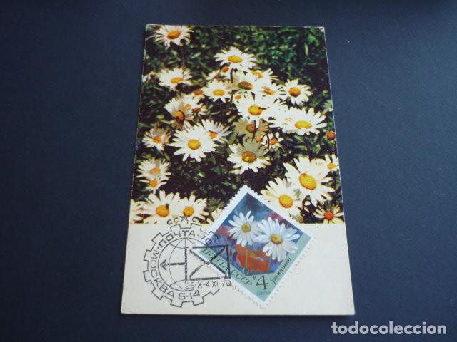 Postales: FLORES POSTAL MAXIMA RUSIA - Foto 1