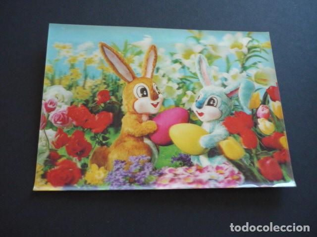 Postales: CONEJOS POSTAL 3D TRES DIMENSIONES - Foto 1