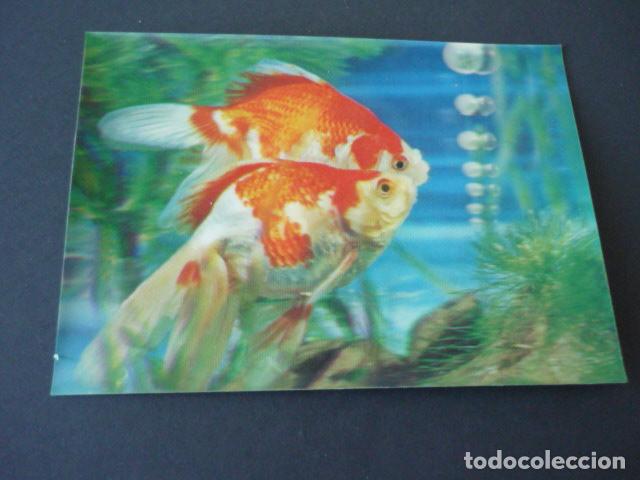 Postales: PECES POSTAL 3D TRES DIMENSIONES - Foto 1