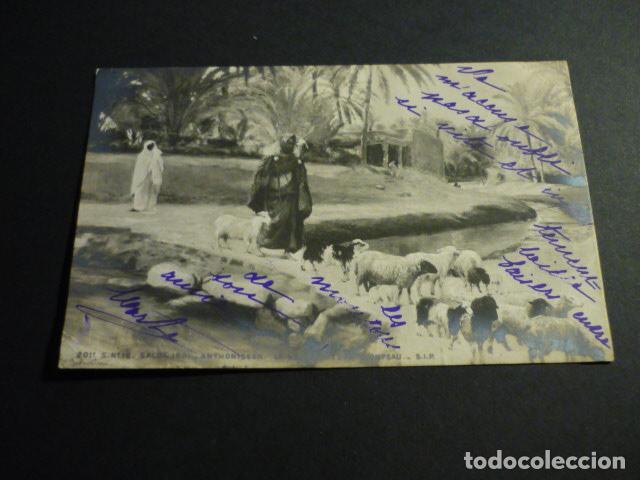 Postales: PASTOR EN OASIS POSTAL - Foto 1