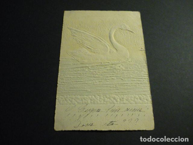 Postales: CISNE EN RELIEVE POSTAL - Foto 1