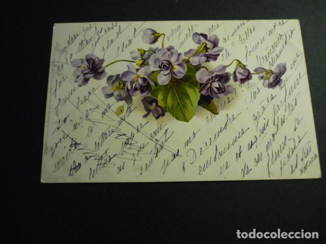 Postales: RAMO DE VIOLETAS POSTAL - Foto 1