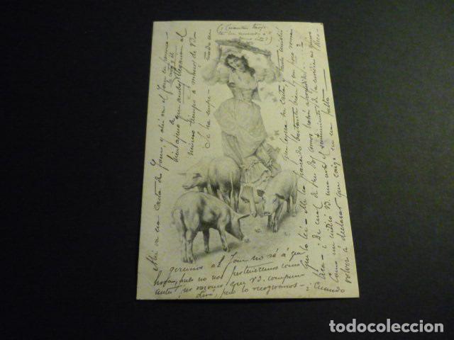 Postales: MUJER CON CERDOS VIENNE POSTAL - Foto 1