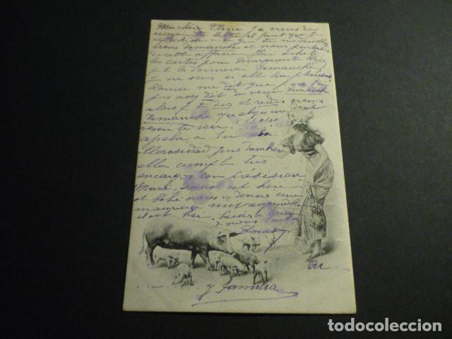 Postales: MUJER ELEGANTE CON CERDO VIENNE POSTAL - Foto 1