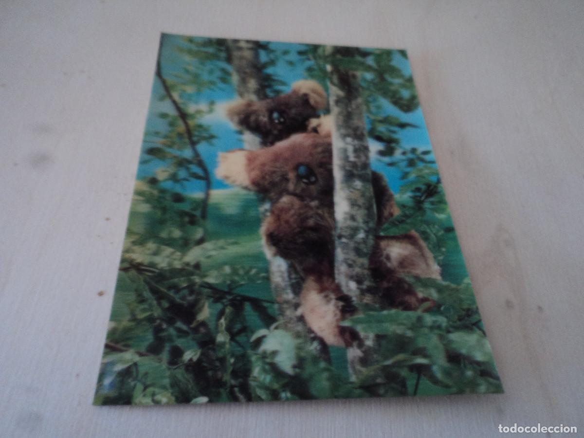 Postales: postal tridimensional, koalas, circulada 1970 - Foto 1